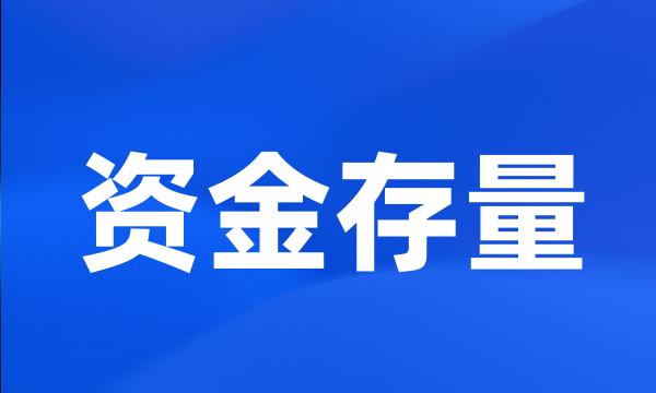 资金存量