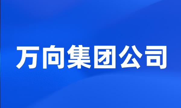 万向集团公司