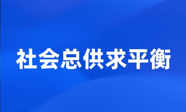 社会总供求平衡