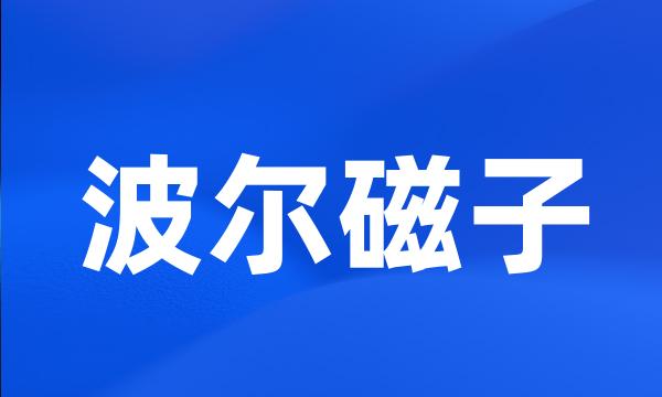 波尔磁子