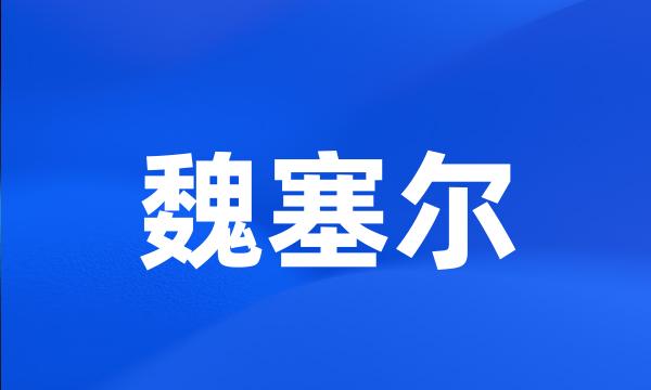 魏塞尔