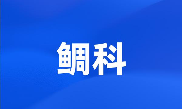 鲷科