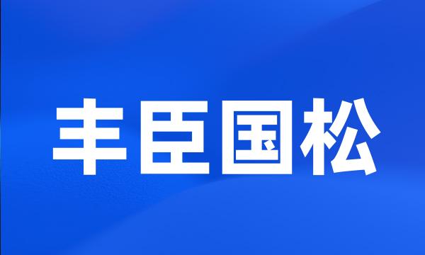 丰臣国松