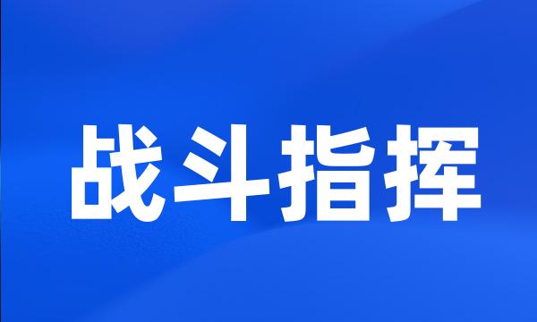 战斗指挥