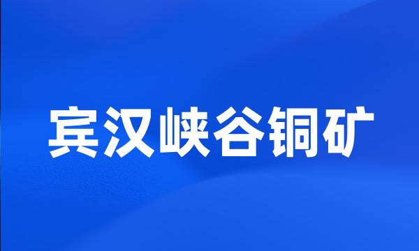 宾汉峡谷铜矿