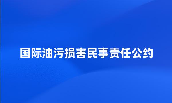 国际油污损害民事责任公约