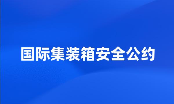 国际集装箱安全公约