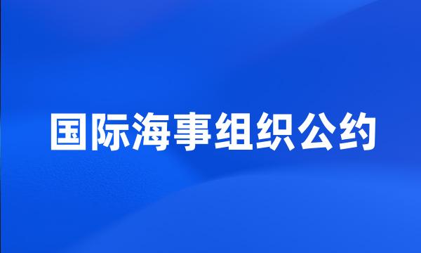 国际海事组织公约