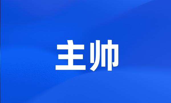 主帅