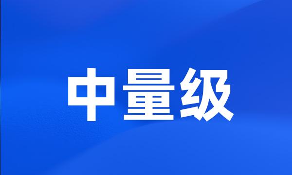 中量级