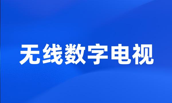 无线数字电视