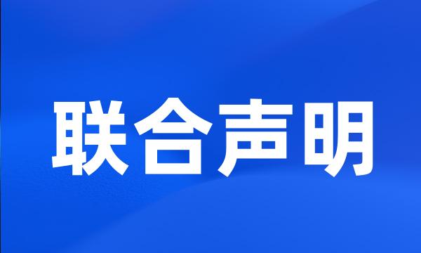 联合声明