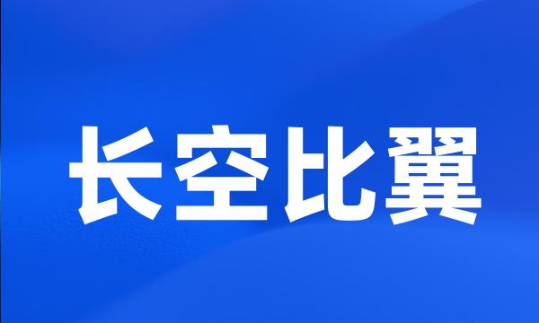 长空比翼