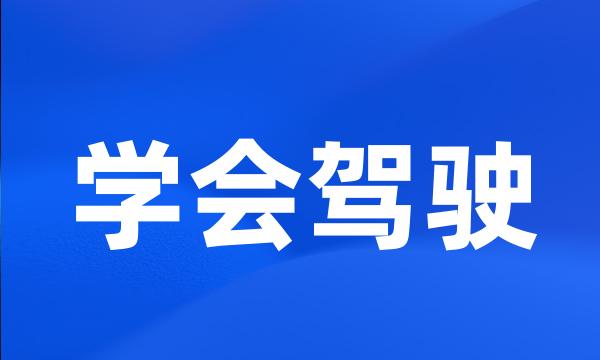 学会驾驶