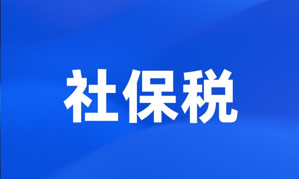 社保税