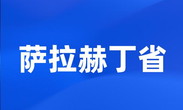 萨拉赫丁省