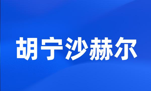 胡宁沙赫尔