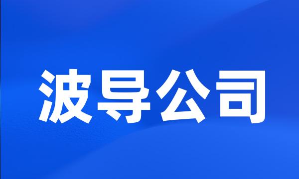 波导公司