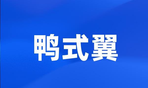 鸭式翼