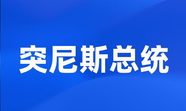 突尼斯总统