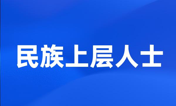 民族上层人士