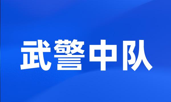 武警中队