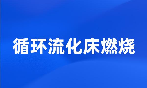 循环流化床燃烧