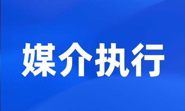 媒介执行