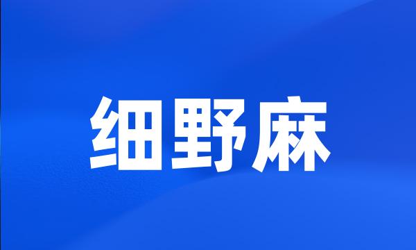 细野麻