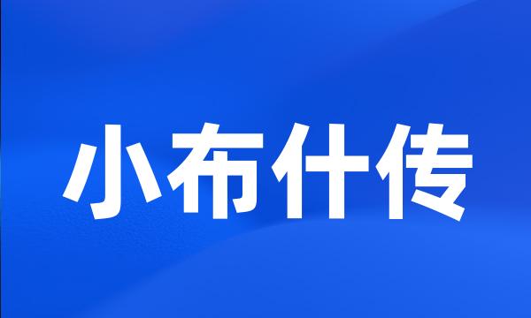 小布什传