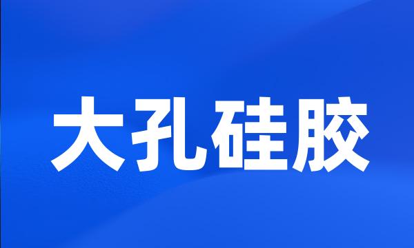 大孔硅胶