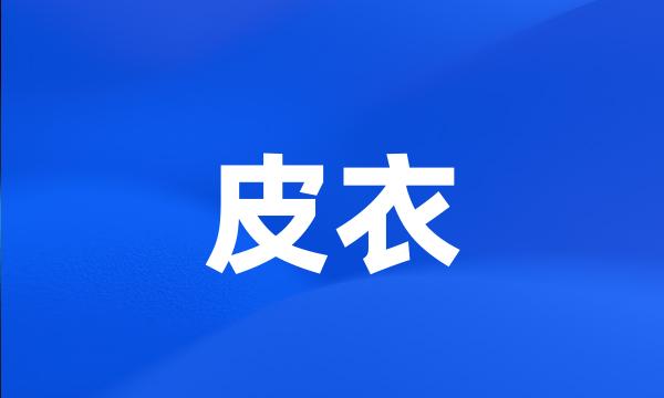 皮衣