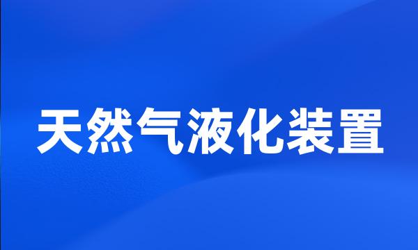 天然气液化装置