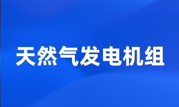 天然气发电机组