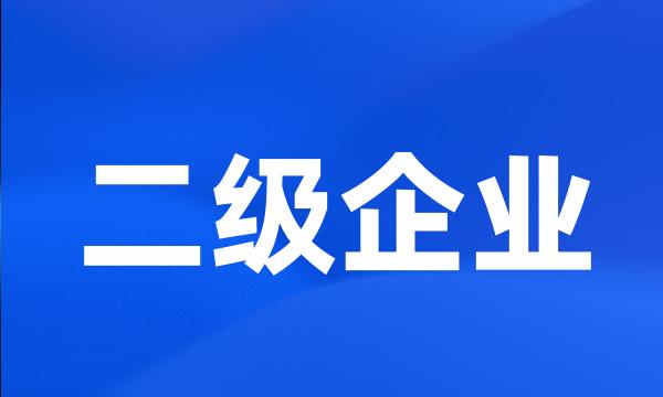 二级企业