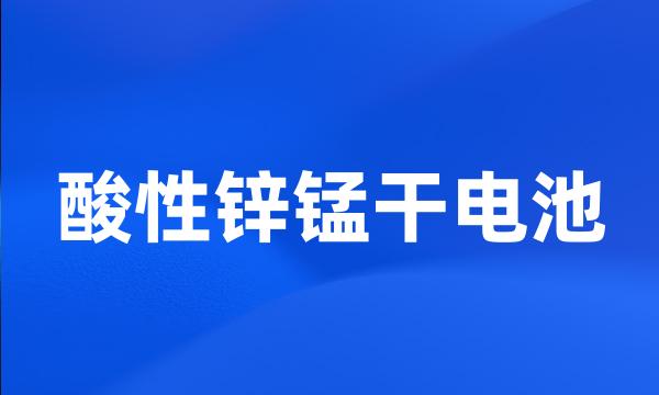 酸性锌锰干电池