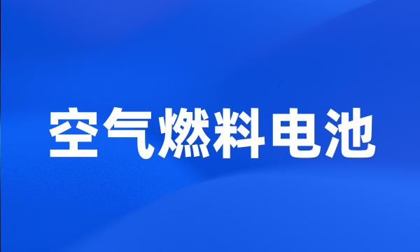 空气燃料电池