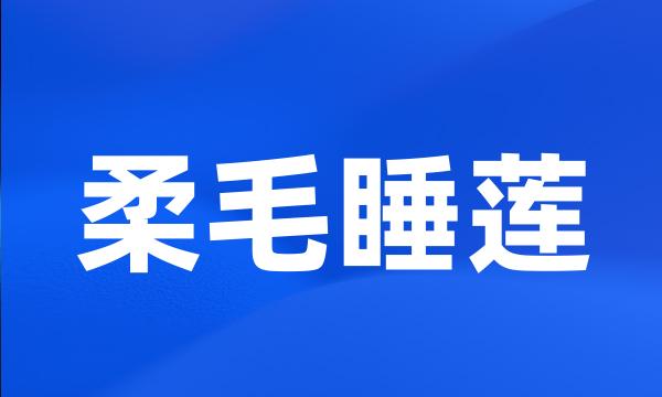 柔毛睡莲