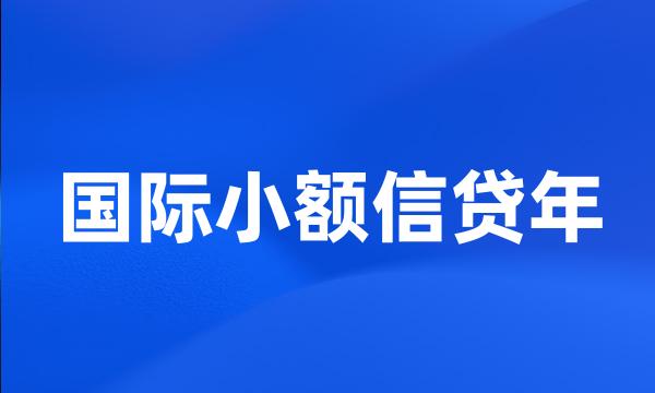 国际小额信贷年