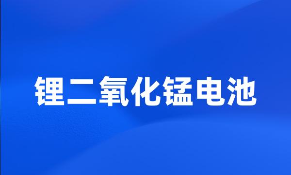 锂二氧化锰电池