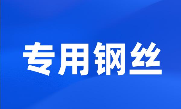 专用钢丝