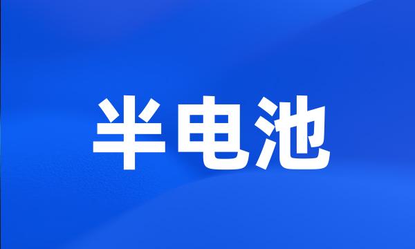 半电池