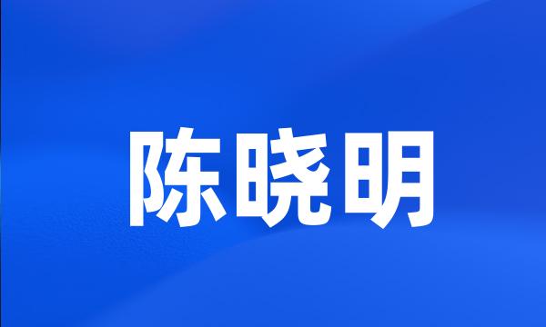 陈晓明