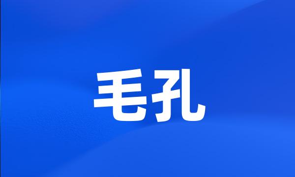 毛孔