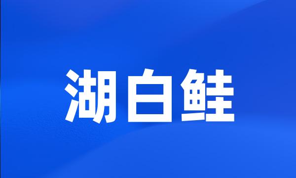 湖白鲑