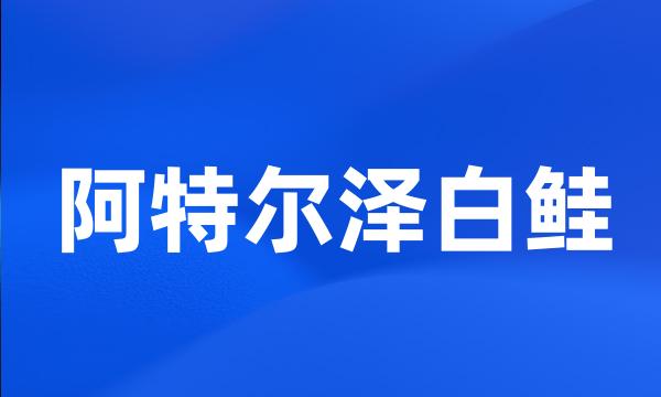 阿特尔泽白鲑