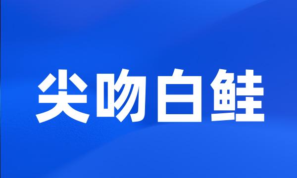 尖吻白鲑