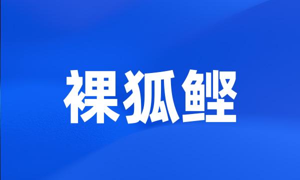 裸狐鲣