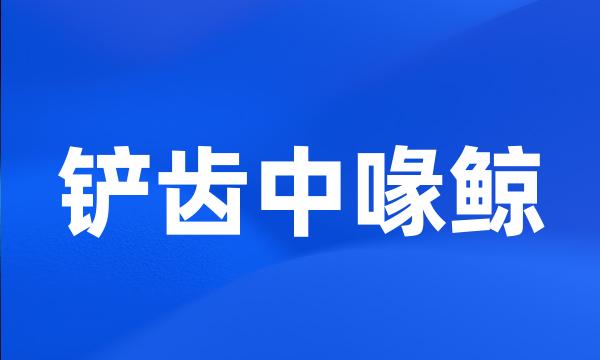 铲齿中喙鲸