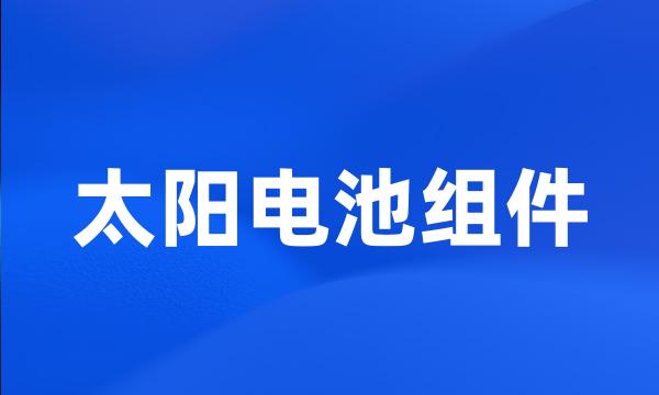 太阳电池组件